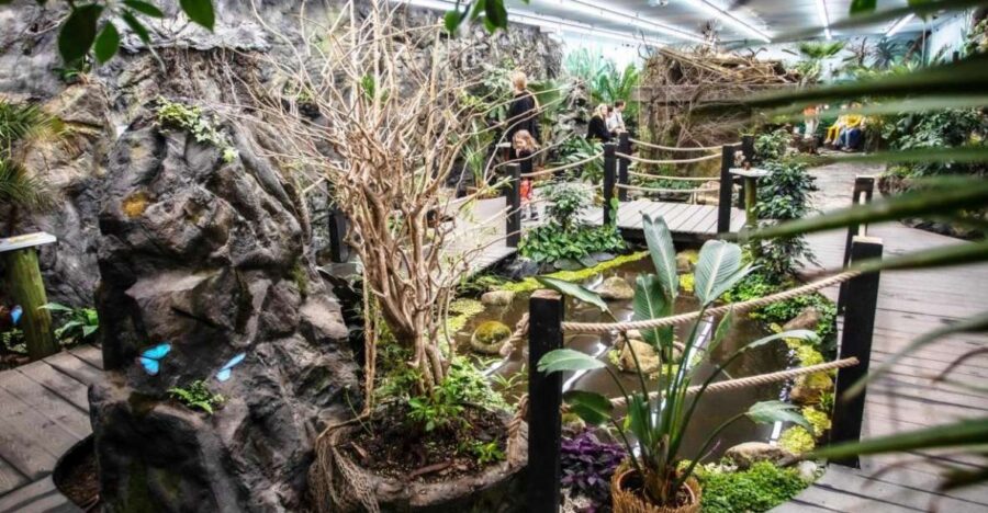 Prague: Papilonia Butterfly House