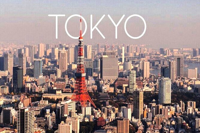 Private 1-Day Tokyo City Tour With English Speaking Driver