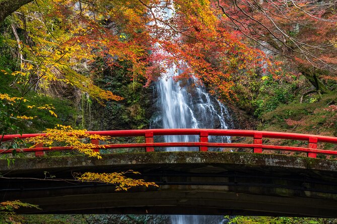 Private 1 Day Tour to Nikko: Onsen, UNESCO Shrines and Nature - Tour Overview and Details