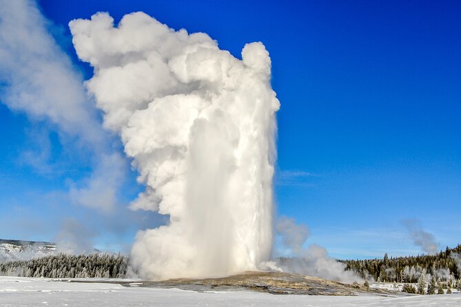 Private 2-Day Yellowstone Tour Review