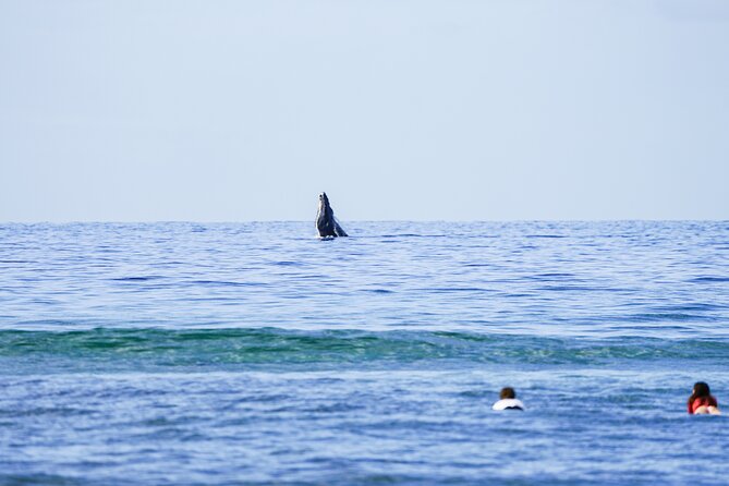Private 2 Hour Surf Lessons With Experienced Coaches - Overview and Details