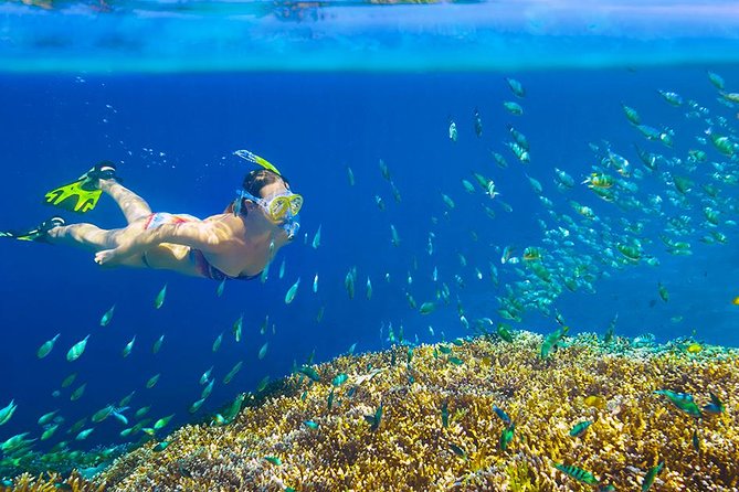 Private 3-Hour Snorkeling Tour With Arch Tour and Beach Time - Tour Highlights