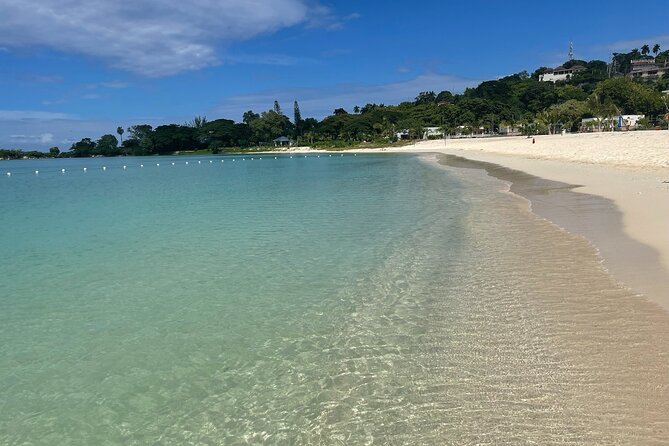 Private 7 Miles Negril Beach and Ricks Cafe Tour