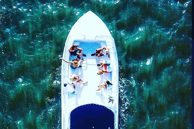 Private 90 Minute Dolphin Tour (Up to 14 Passengers)