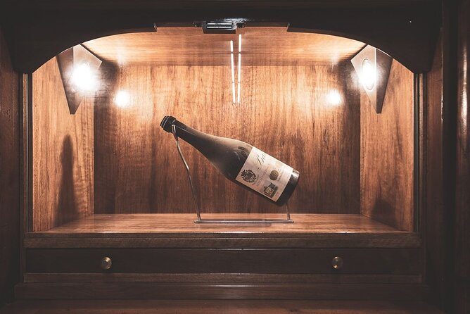 Private and Guided Day at the Barolo Cellars in Piedmont