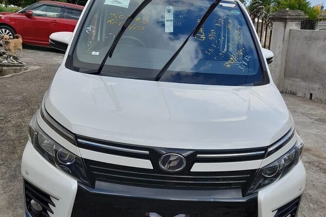 Private Arrival Transfer to Montego Bay Hotels - Meeting and Pickup Process