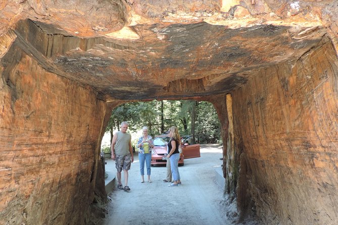 Private Avenue of the Giants Redwoods Day Trip From San Francisco