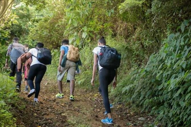 Private Bird Watching Tour in Kingston Jamaica With Lunch