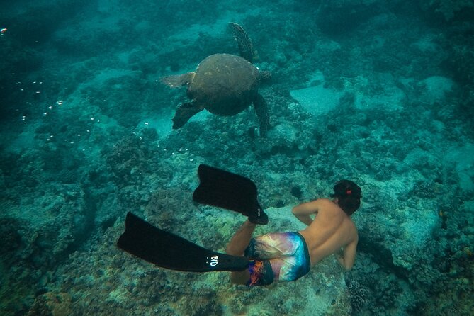 Private Boat Cruise of Waikiki! Snorkel, Sightseeing, Sea Life!