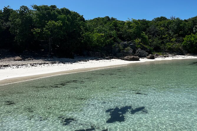 PRIVATE BOAT Half Day Discover Green Island and Sea Turtles