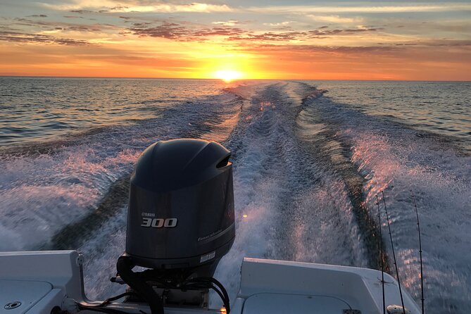 Private Boat Offering Dolphin Watching, Island Excursions and Nature Tours
