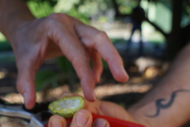 Private Botanical Garden Experience in the Heart of Maui
