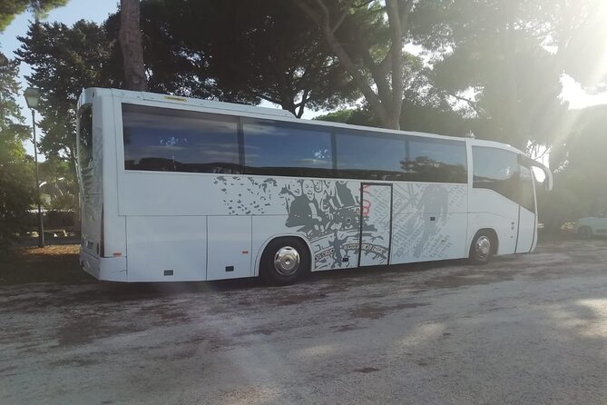 Private Bus From Ravenna Cruise Port to Venice Airport (Vce)
