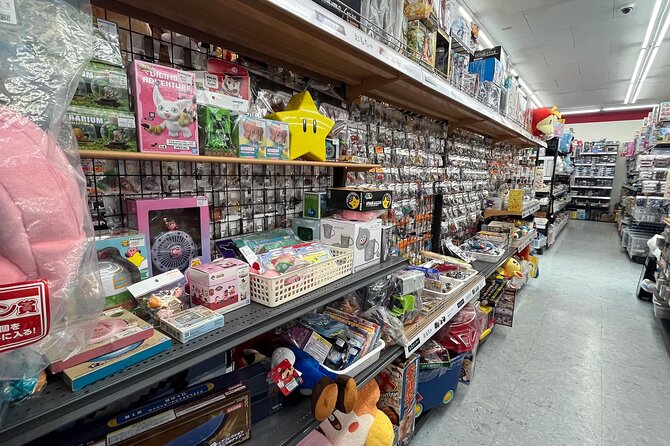 Private Car Tour Japanese History Visit, Buy Lots of Anime Goods - Tour Overview