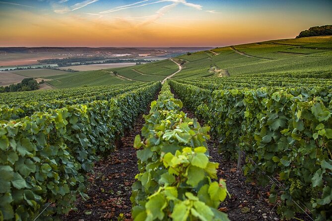 Private Champagne Tour Veuve Clicquot, Moet & Chandon From Reims