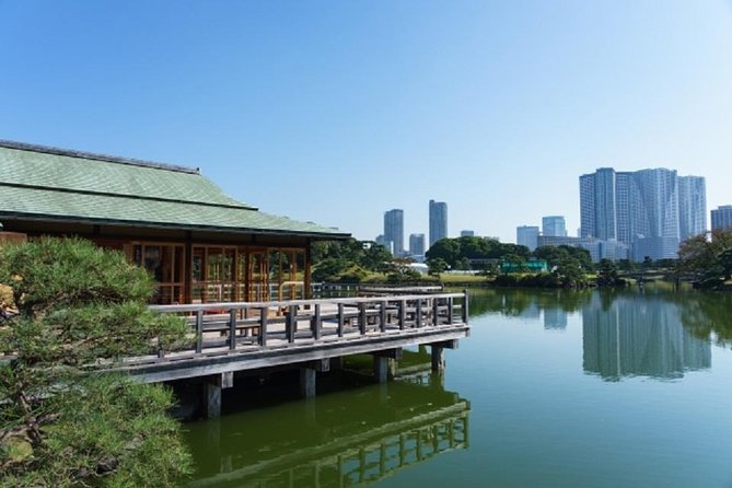 Private Chartered Taxi Tour of Tokyo