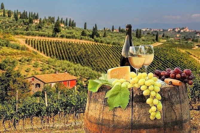 Private Chianti Winery Tour From Livorno With Pick up and Drop off