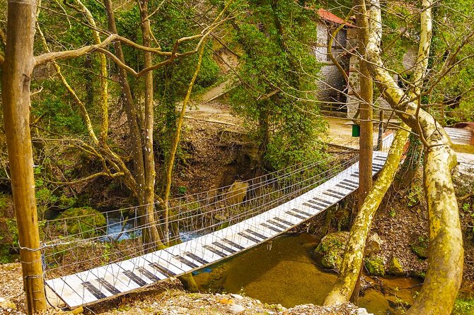 Private Day Tour From Athens to Pavliani Forest Park Trek - Tour Overview