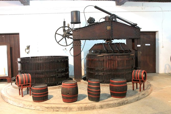 Private Day Trip From Belgrade: Serbian Wine Story
