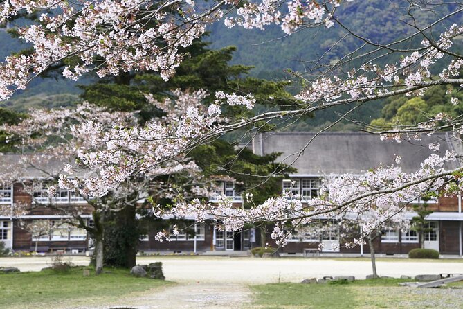 Private Day Trip to Kumamoto & Asakura From Fukuoka With Minibus