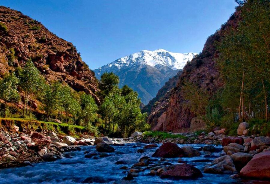Private Day Trip to the Atlas Mountain & Ourika Valley