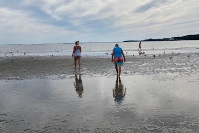 Private Disappearing Island Dolphin Tour Review