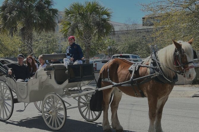 Private Evening Historic Carriage Tour in Charleston - Haunted History Awaits