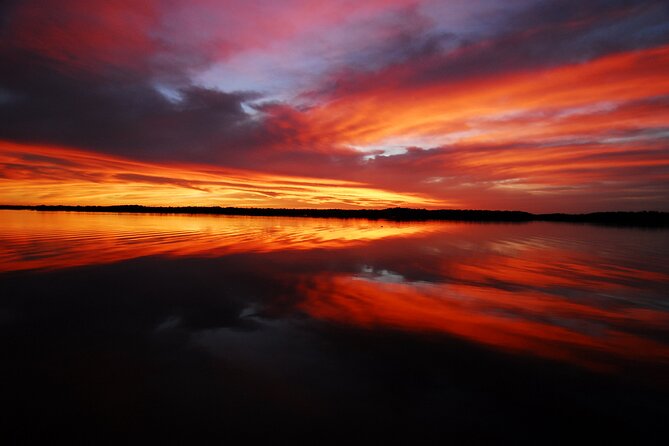 Private Everglades National Park Photography, Birding and Wildlife Safari