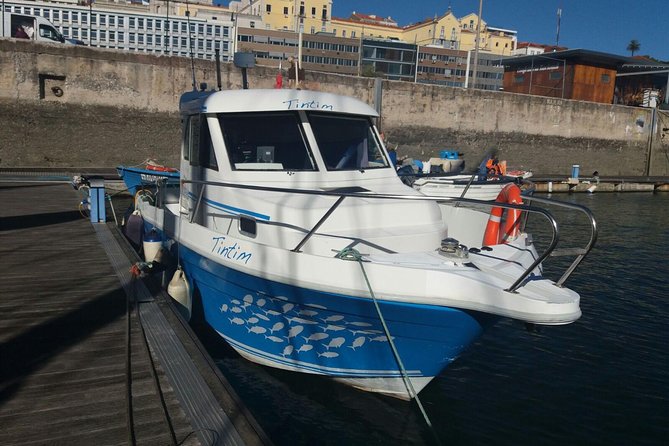 Private Fishing Tour From Cascais With Lunch and Drinks