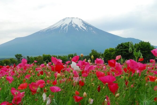 Private Full-Day Guided Tour in Mount Fuji Lakes - Meeting and Pickup Information
