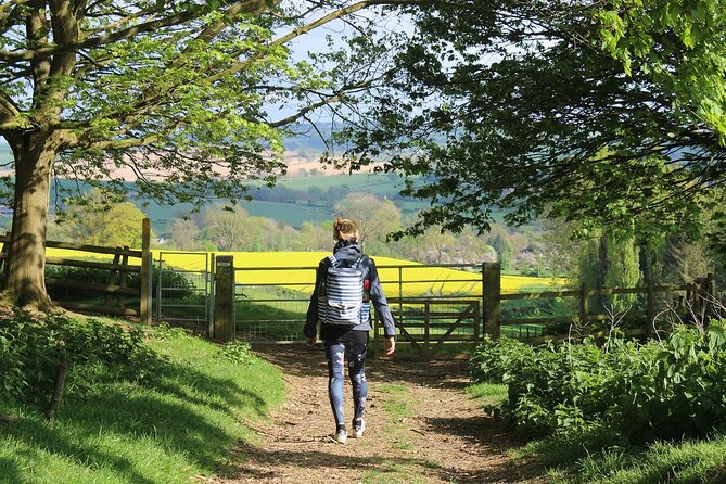 Private Full Day Tour to Cotswolds From London