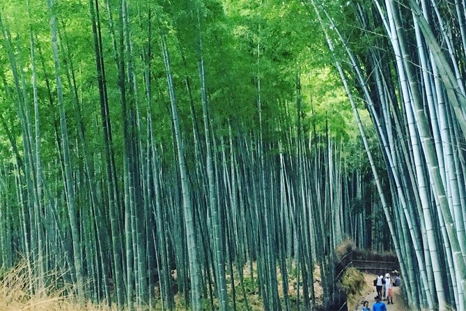 Private Full-Day Walking Tour of Kyoto - Tour Overview