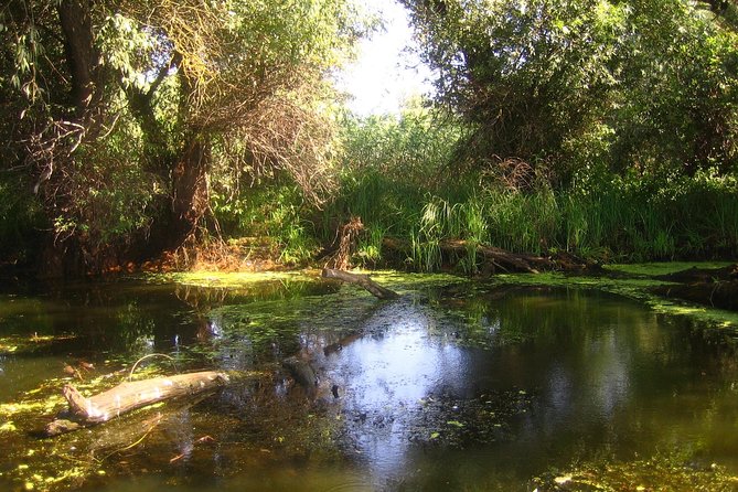 **Private Group Escapes: Exclusive Danube Delta Tours**