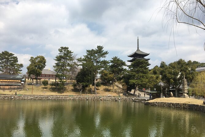 Private Half-Day City of Nara Guided Tour
