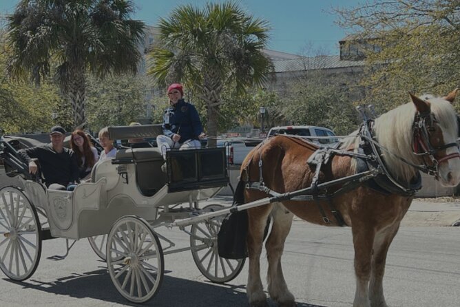 Private Historic Haunted Carriage Tour – Palmetto Carriage Works