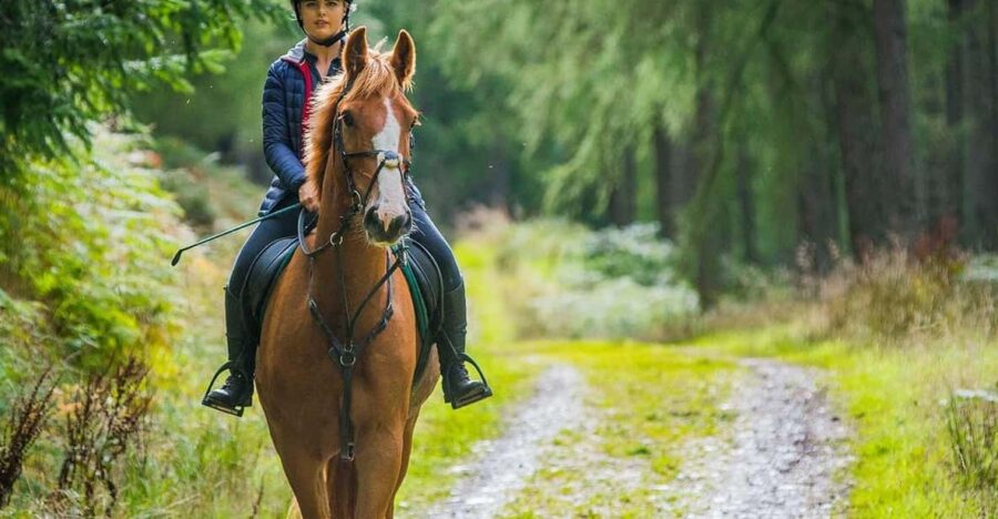 Private Horse Riding, Lake Kournas & Georgioupoli