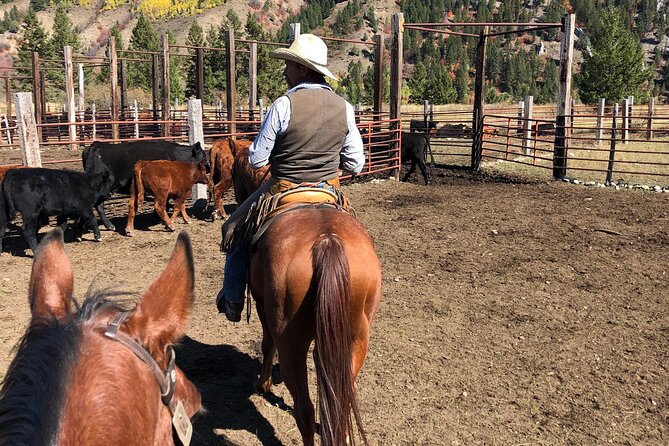 Private Horseback Riding in Wyoming Review
