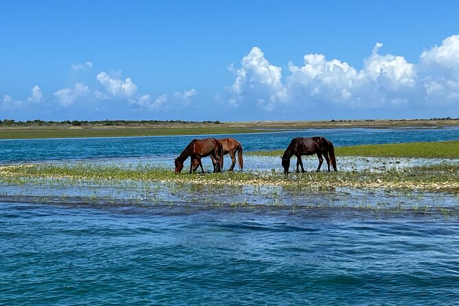 Private Island Eco Tours Review: An Adventure Awaits