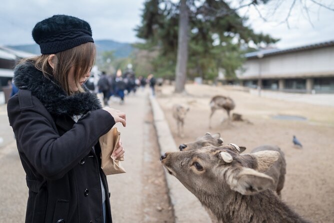 Private Journey in Nara's Historical Wonder - Exploring Naras Historic Shrines and Temples