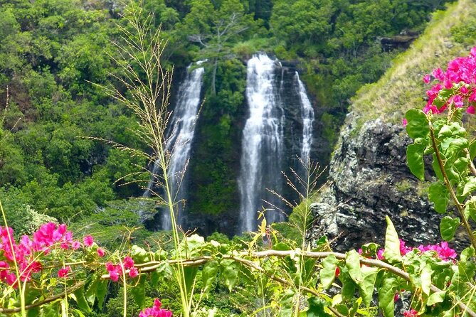 Private Kauai Eastside & Waterfalls Tour. Short & Sweet (5 Hrs)