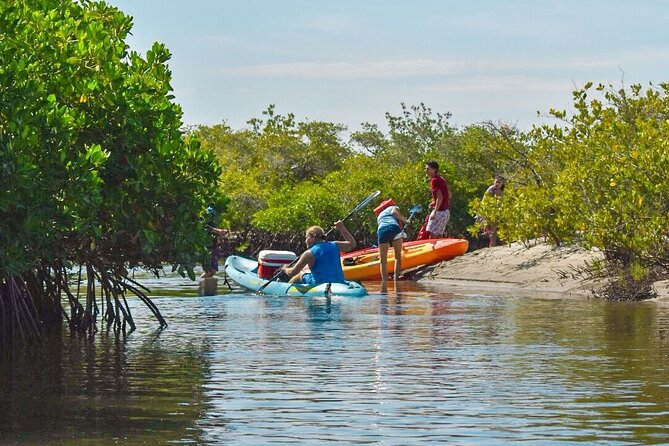 Private Kayaking Adventure Around the Mangroves and La Paz Bay