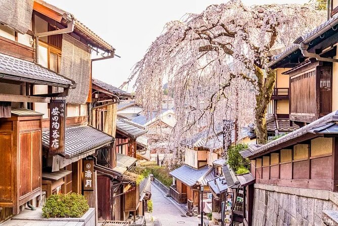 Private Kyoto Customizable Day Tour With English Guide