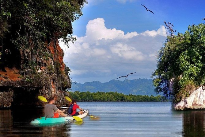 Private Los Haitises National Park Private Kayaking 2 Hours