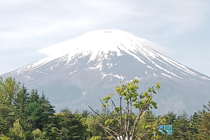 Private Mount Fuji Tour by Premium Car