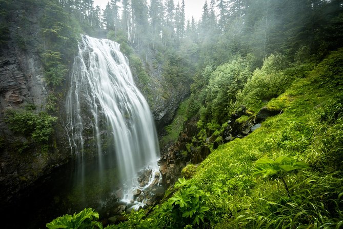 Private Mt Rainier National Park Day Trip From Seattle - Itinerary Highlights