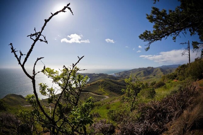 Private Muir Woods, Sausalito, and Marin Headlands Tour Review - Tickets and Pricing
