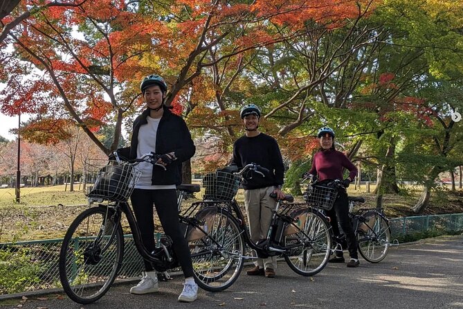 Private Nara E-Bike - Family Tour With Lunch - Tour Overview