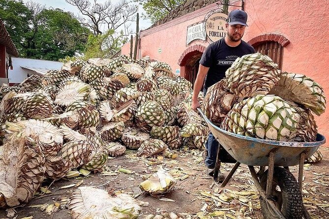 Private One Day Adventure Tour in Tequila and La Fortaleza Distillery