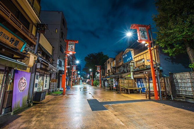 Private One Day Tour in Tokyo With Limousine and Driver - Transportation Amenities