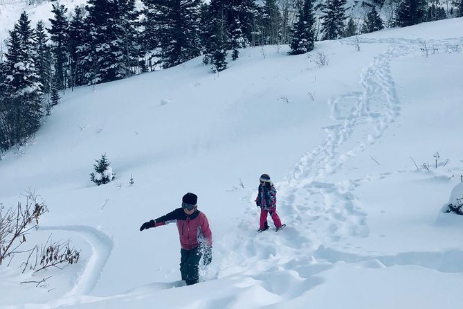 Private Park City Snowshoe Excursions (9:30am/12:30pm Start Time)